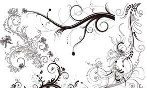 5 Floral Ornaments Vector Pack